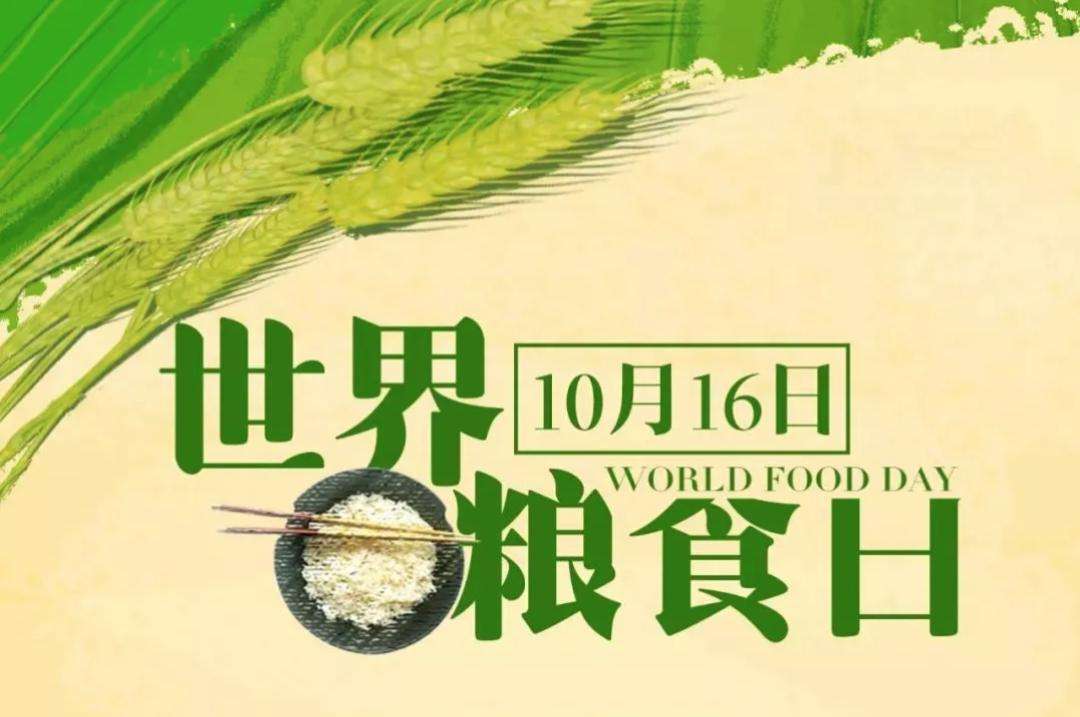 世界粮食日——“齐成长、同繁荣、共持续，行动造就未来”